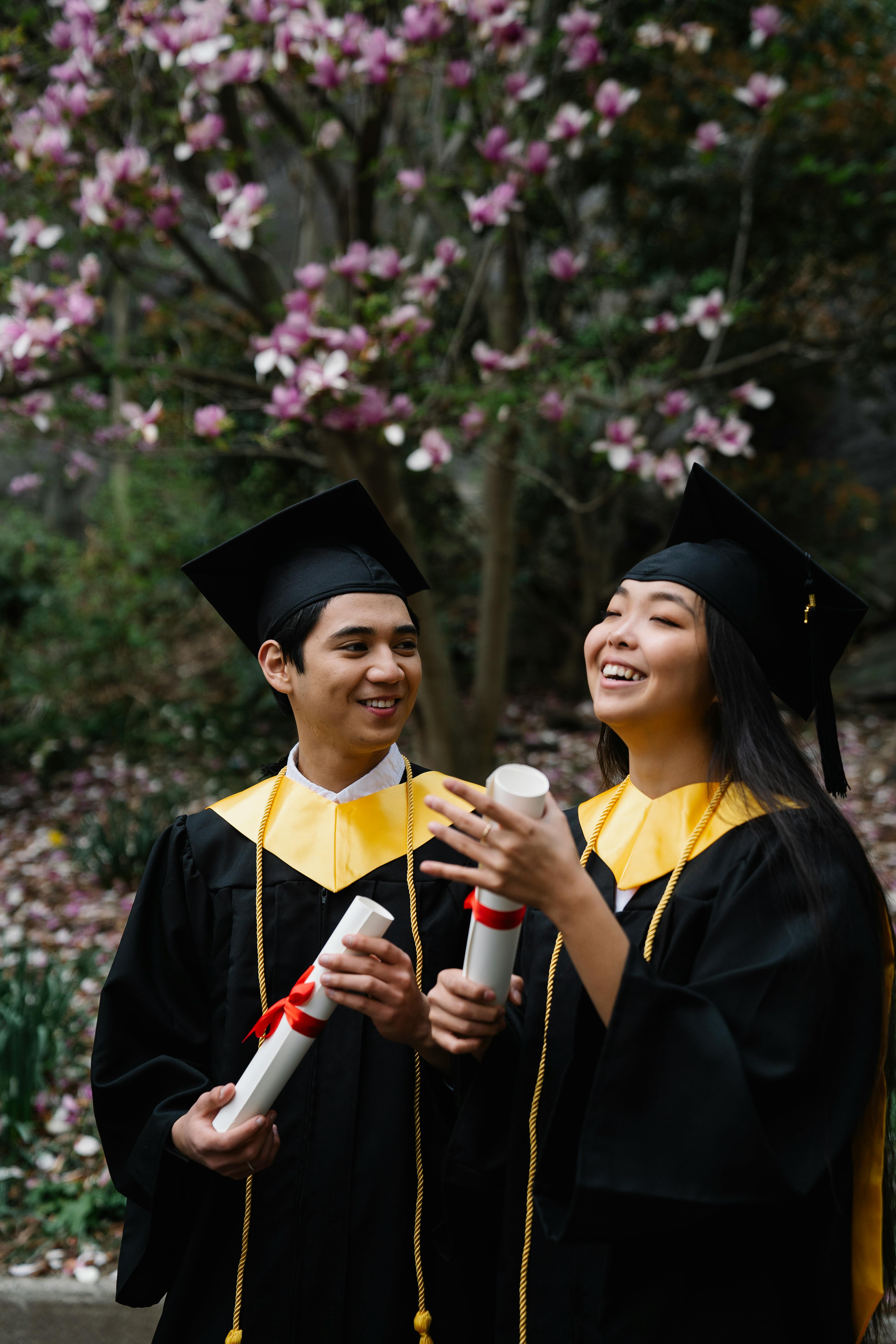 Graduation Mini 7